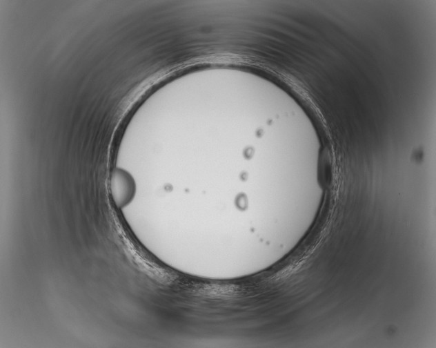 X0000115300845200911301512