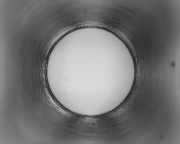 X0000115300847200911301512