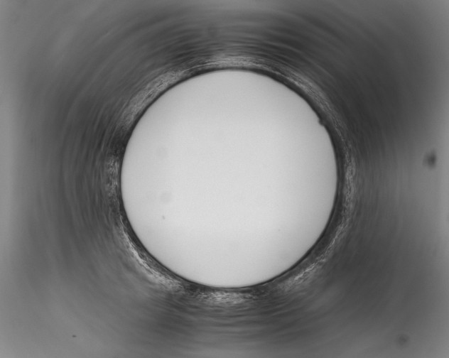 X0000115300849200911301512