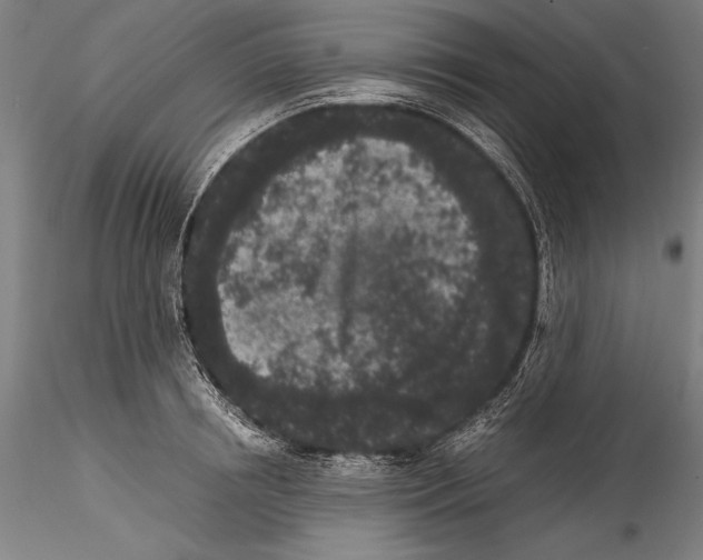 X0000115300850200911301512