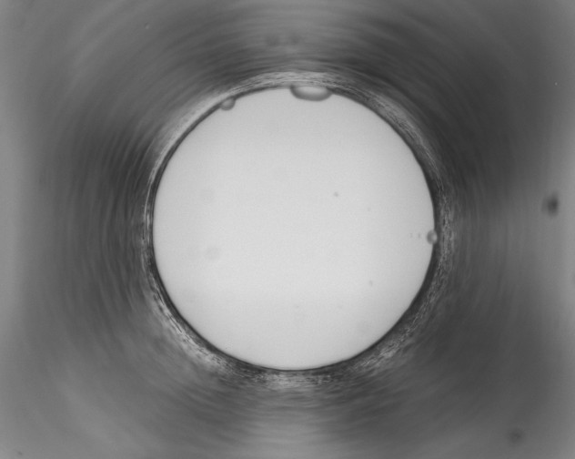 X0000115300852200911301512