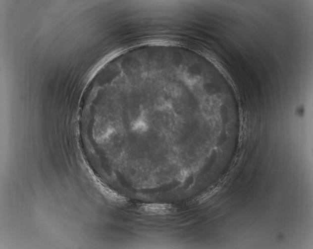 X0000115300853200911301512