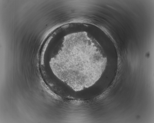 X0000115300854200911301512