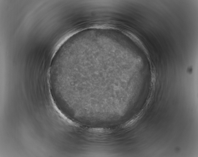 X0000115300855200911301512