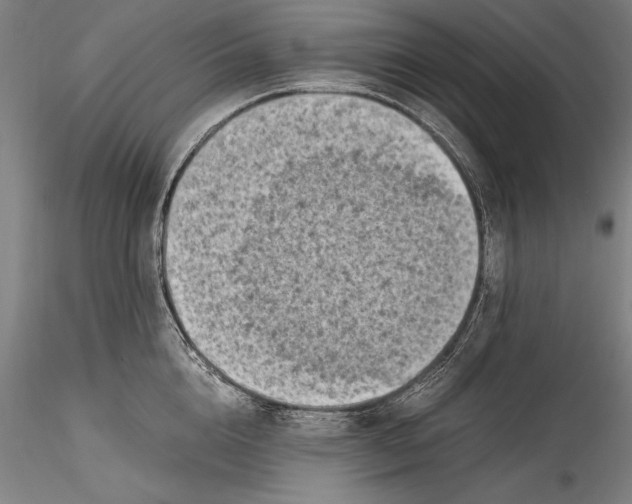 X0000115300856200911301512