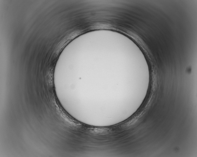 X0000115300857200911301512