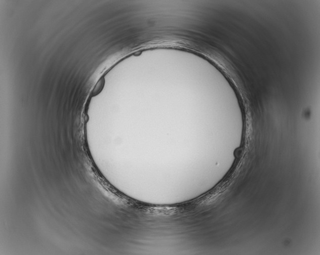 X0000115300858200911301512