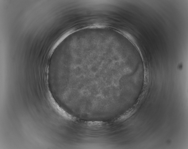 X0000115300859200911301512