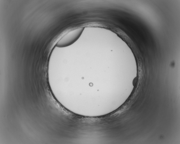 X0000115300860200911301512