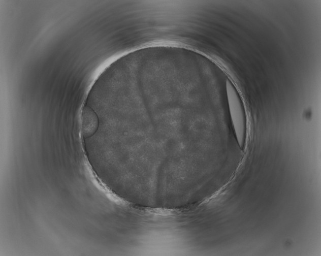 X0000115300862200911301512