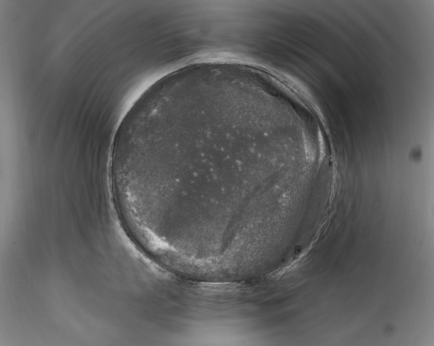 X0000115300863200911301512