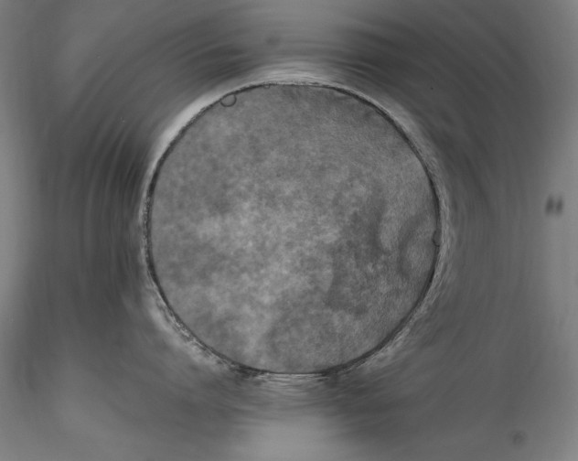 X0000115300864200911301512