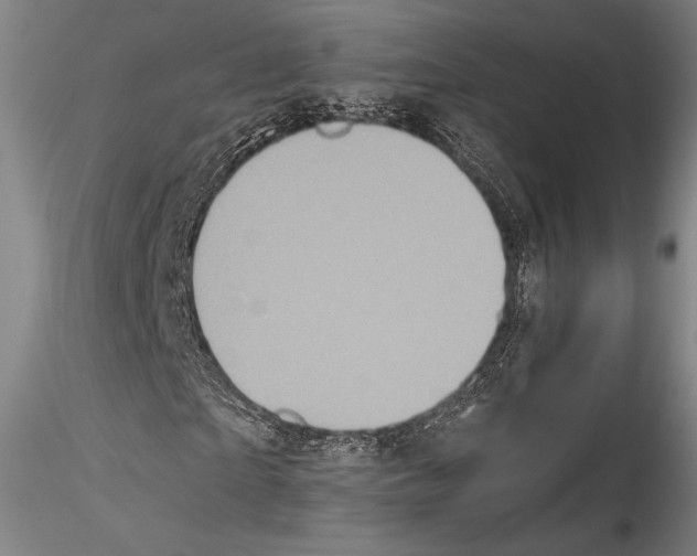 X0000115300865200911301511