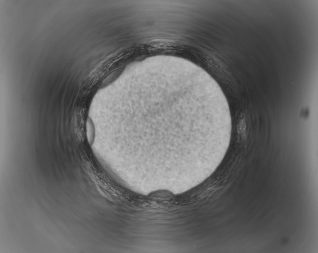 X0000115300868200911301511