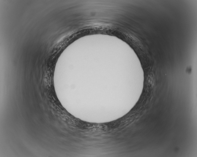 X0000115300869200911301511