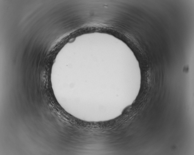 X0000115300872200911301511