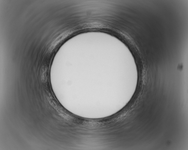 X0000115300873200911301511