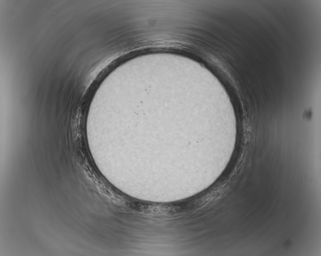 X0000115300875200911301511