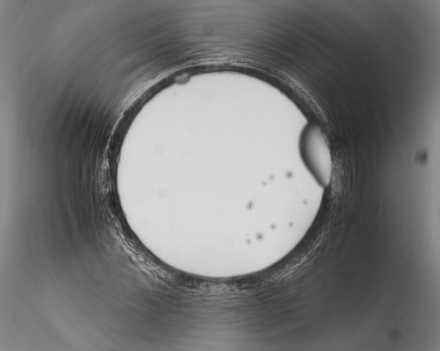 X0000115300876200911301511