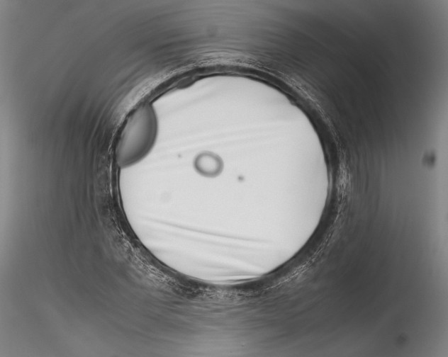 X0000115300877200911301511