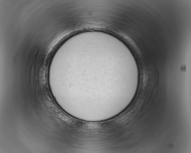 X0000115300878200911301511