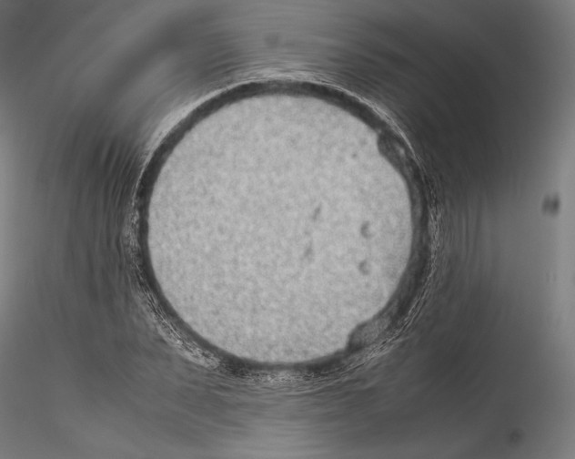 X0000115300879200911301511