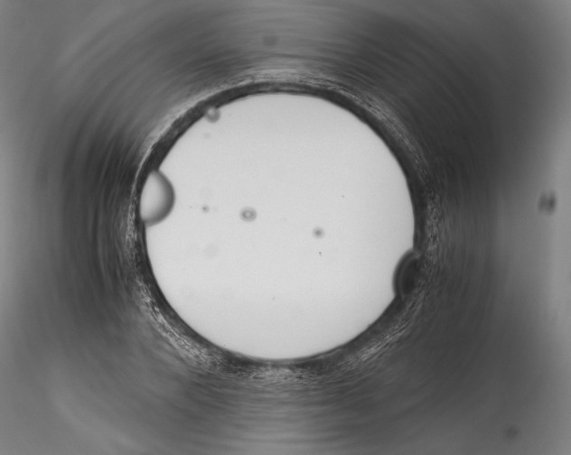 X0000115300880200911301511