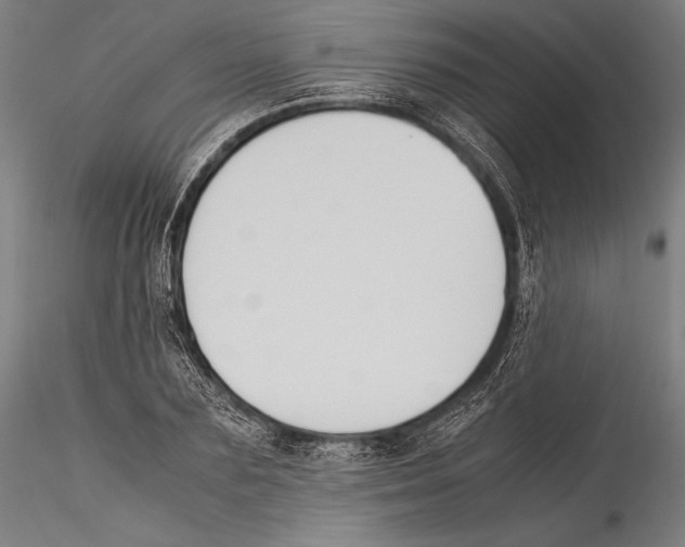 X0000115300883200911301511