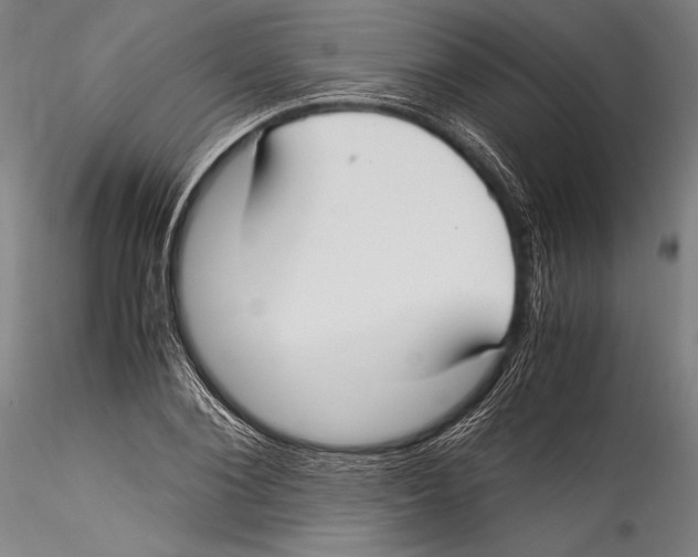 X0000115300884200911301511