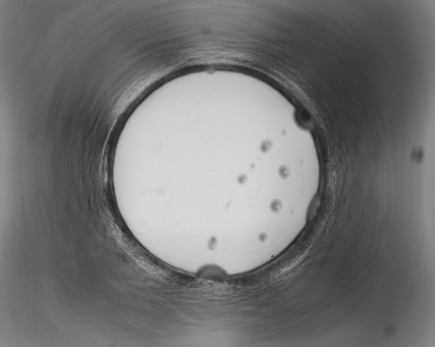 X0000115300885200911301511