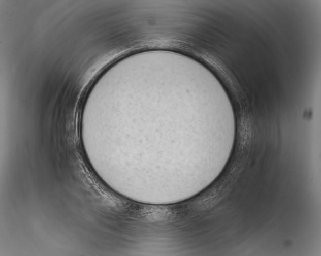 X0000115300886200911301511