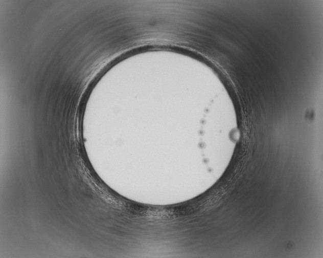 X0000115300887200911301511