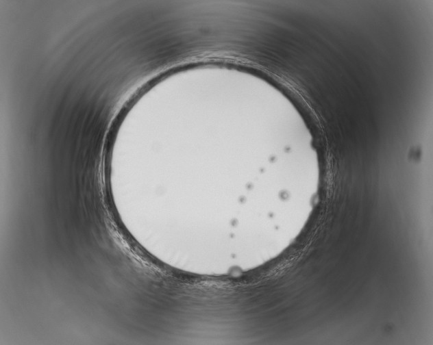 X0000115300888200911301511