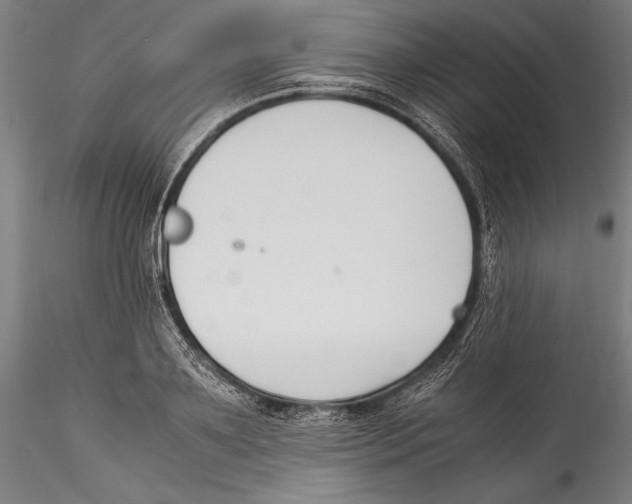 X0000115300891200911301511