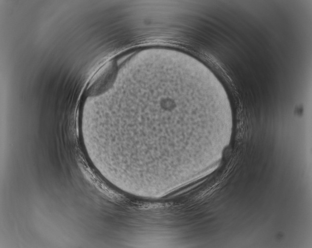 X0000115300892200911301511