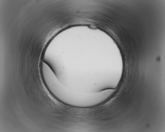 X0000115300893200911301511