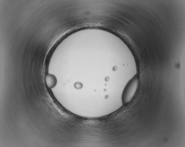 X0000115300894200911301511