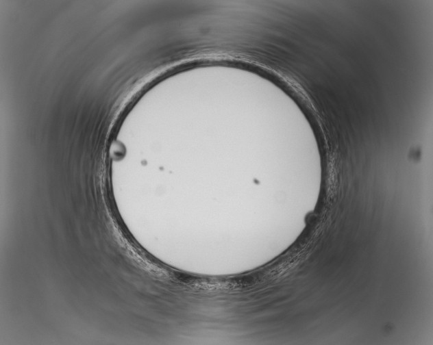 X0000115300895200911301511