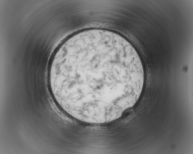 X0000115300896200911301511