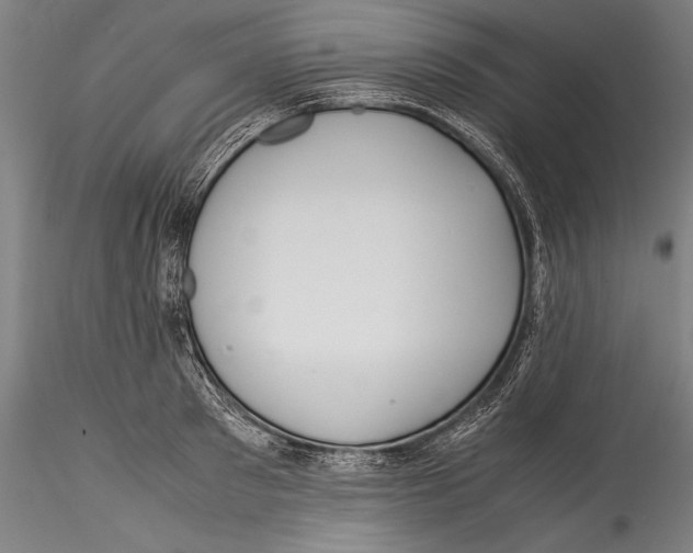 X0000115300897200911301511