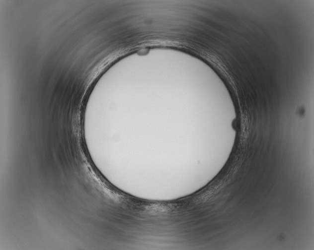 X0000115300898200911301511