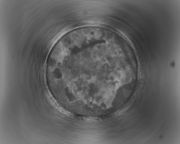 X0000115300899200911301511