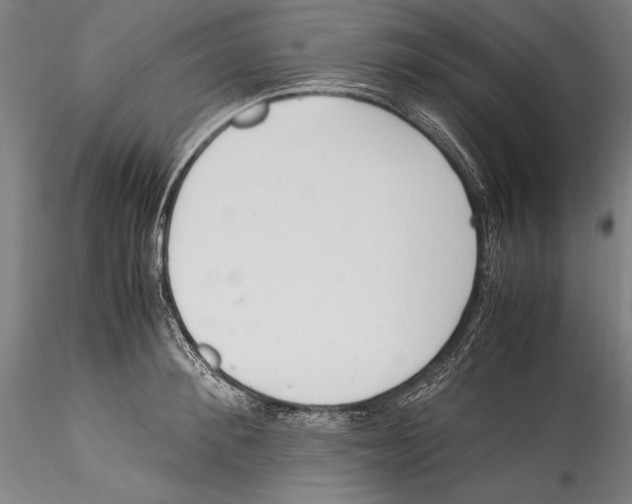 X0000115300900200911301511