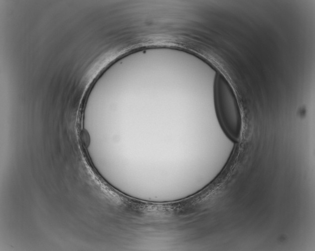 X0000115300901200911301511