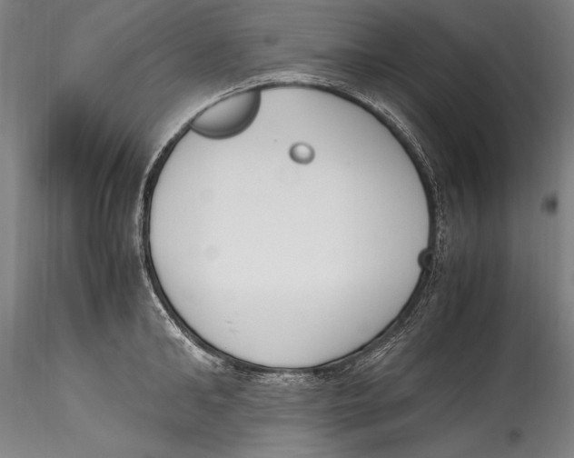 X0000115300902200911301511