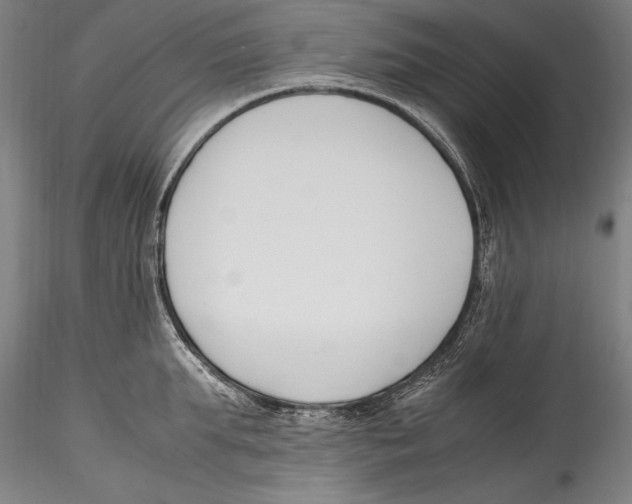 X0000115300903200911301511