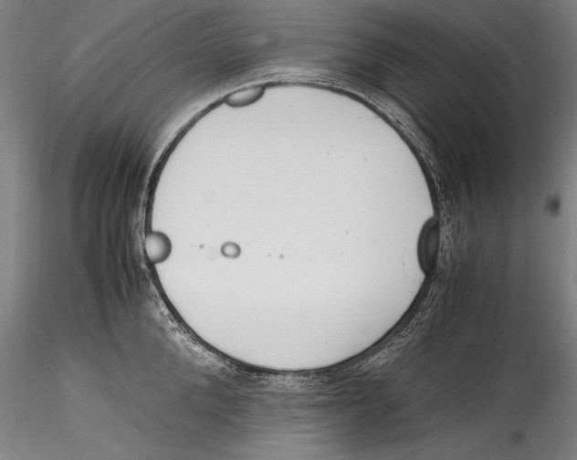 X0000115300904200911301511