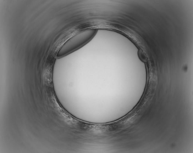 X0000115300905200911301511