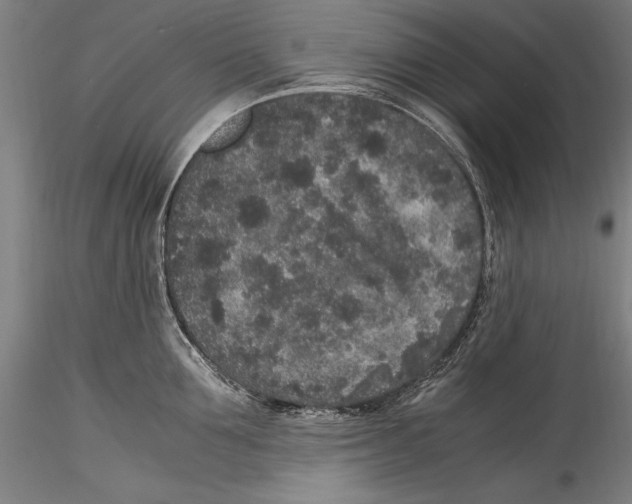 X0000115300907200911301511