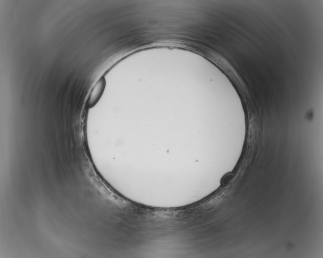 X0000115300908200911301511